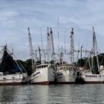 Es flota camaronera tamaulipeca, la más grande del Golfo de México