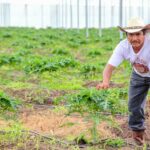 Otorga Agricultura acompañamiento a productores agrícolas con tarifa de uso agrícola