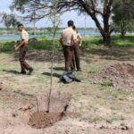 Se unen SEDUMA y estudiantes para reforestar laguna La Escondida en Reynosa