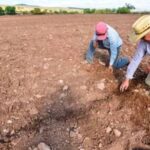 Oficial, no hay agua, ni ciclo agrícola