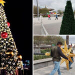 TENDRÁ REYNOSA EL PINO NAVIDEÑO MÁS GRANDE DEL NORESTE