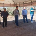 CONSIDERAN AGRICULTORES SEMBRAR AJONJOLI COMO ALTERNATIVA DEL SORGO