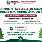 ¡No tires tu pino, el Gobierno de Reynosa lo recicla!