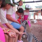 INVITAN A INTERACTUAR CON ANIMALITOS DEL ZOOLÓGICO DE NUEVO LAREDO