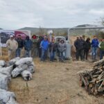 Con producción de carbón vegetal buscan recolectar líquidos piroleñosos