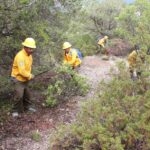 Fortalece Tamaulipas respuesta ante incendios forestales