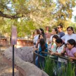 Incrementa el aforo de visitantes al Zoológico Tamatán y al Tamux