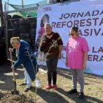 INTENSIFICA GOBIERNO MUNICIPAL CAMPAÑA DE REFORESTACIÓN EN NUEVO LAREDO 