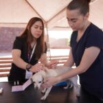 RESPONDEN CIUDADANOS A JORNADA DE VACUNACIÓN CANINA DEL GOBIERNO MUNICIPAL